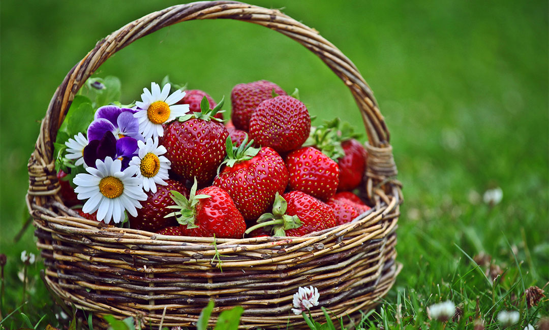 三沙点呀点水果电商APP开发案例